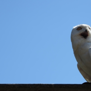 Image 1476379682