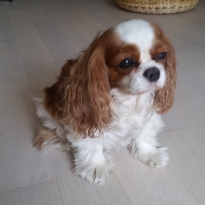 Image 1564327205
