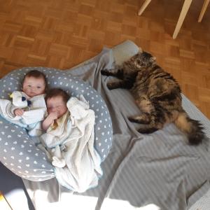 Image 1646130424
