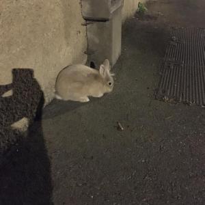 Image 1667240582
