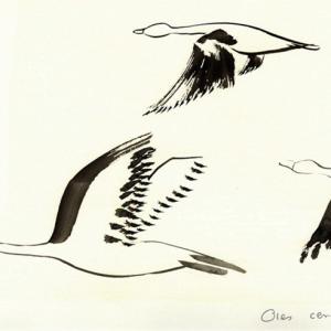 Image 1709049771