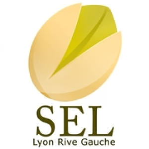 logo couleur sel